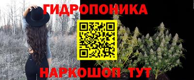 ECSTASY Кунгур