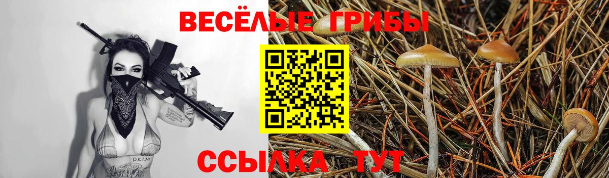 Псилоцибиновые грибы Psilocybine cubensis  Вход с VPN  Зима 