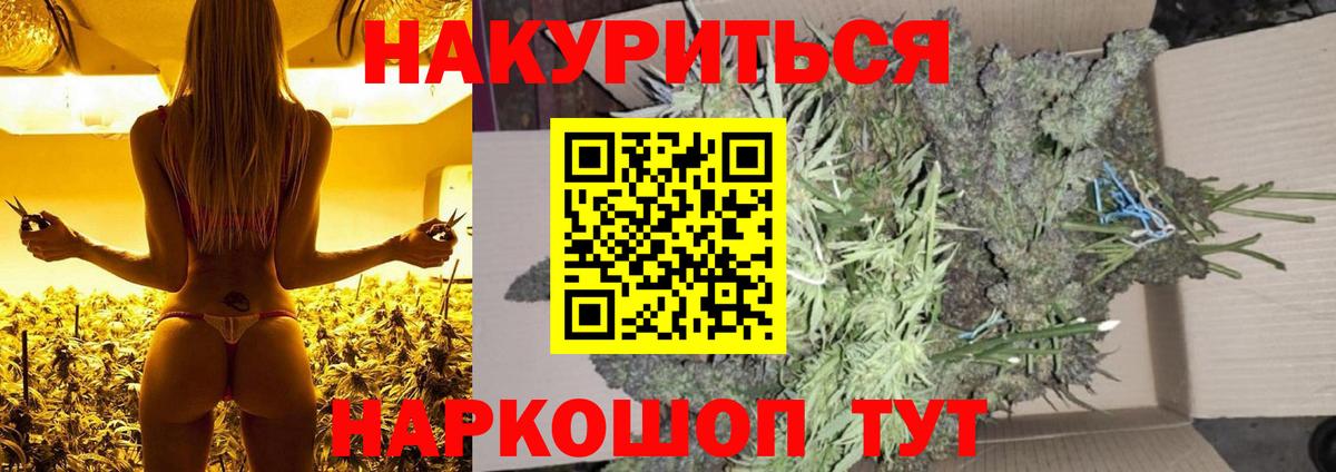 Бошки марихуана конопля  Вход с VPN  Марихуана гибрид  Зима  Конопля марихуана  Шишки марихуана индика 